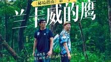 探探猫宝石岛